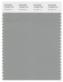 Pantone Smart 16-5904 TCX Color Swatch Card | Wrought Iron