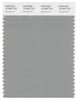 Pantone Smart 16-5904 TCX Color Swatch Card | Wrought Iron