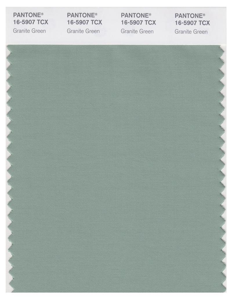 Pantone Smart 16-5907 TCX Color Swatch Card | Granite Green