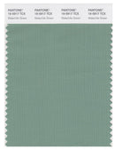 Pantone Smart 16-5917 TCX Color Swatch Card | Malachite Green