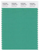 Pantone Smart 16-5924 TCX Color Swatch Card | Winter Green