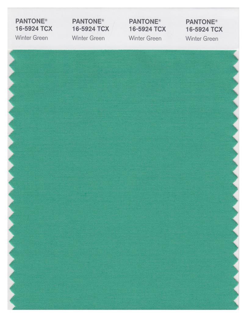 Pantone Smart 16-5924 TCX Color Swatch Card | Winter Green