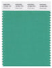 Pantone Smart 16-5924 TCX Color Swatch Card | Winter Green