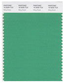 Pantone Smart 16-5930 TCX Color Swatch Card | Ming Green