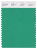 Pantone Smart 16-5932 TCX Color Swatch Card | Holly Green