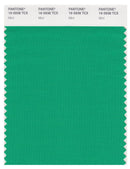 Pantone Smart 16-5938 TCX Color Swatch Card | Mint