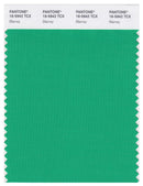 Pantone Smart 16-5942 TCX Color Swatch Card | Blarney