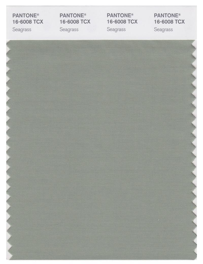 Pantone Smart 16-6008 TCX Color Swatch Card | Seagrass | Magazine Cafe ...