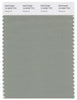 Pantone Smart 16-6008 TCX Color Swatch Card | Seagrass