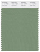 Pantone Smart 16-6116 TCX Color Swatch Card | Shale Green