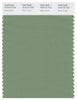 Pantone Smart 16-6116 TCX Color Swatch Card | Shale Green