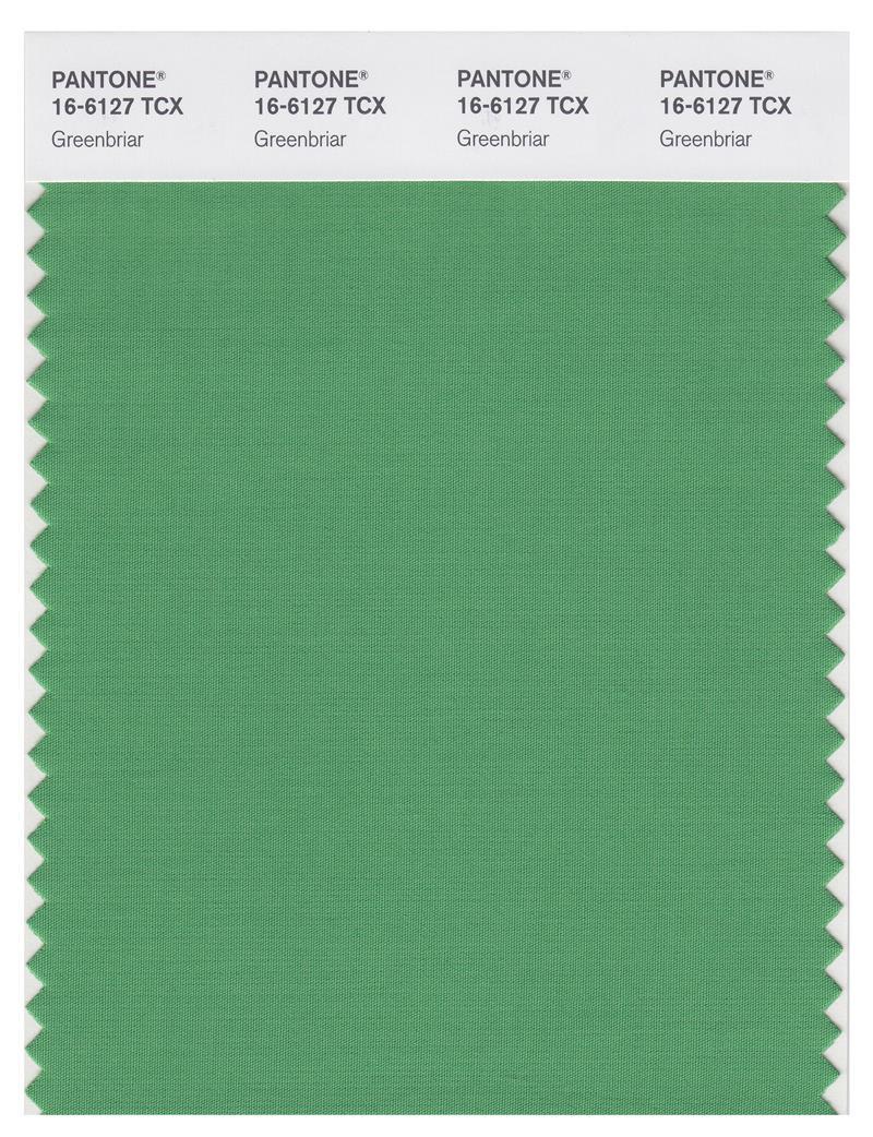 Pantone Smart 16-6127 TCX Color Swatch Card | Greenbriar