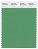 Pantone Smart 16-6127 TCX Color Swatch Card | Greenbriar