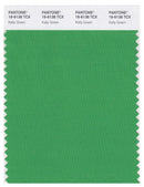 Pantone Smart 16-6138 TCX Color Swatch Card | Kelly Green