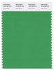 Pantone Smart 16-6138 TCX Color Swatch Card | Kelly Green