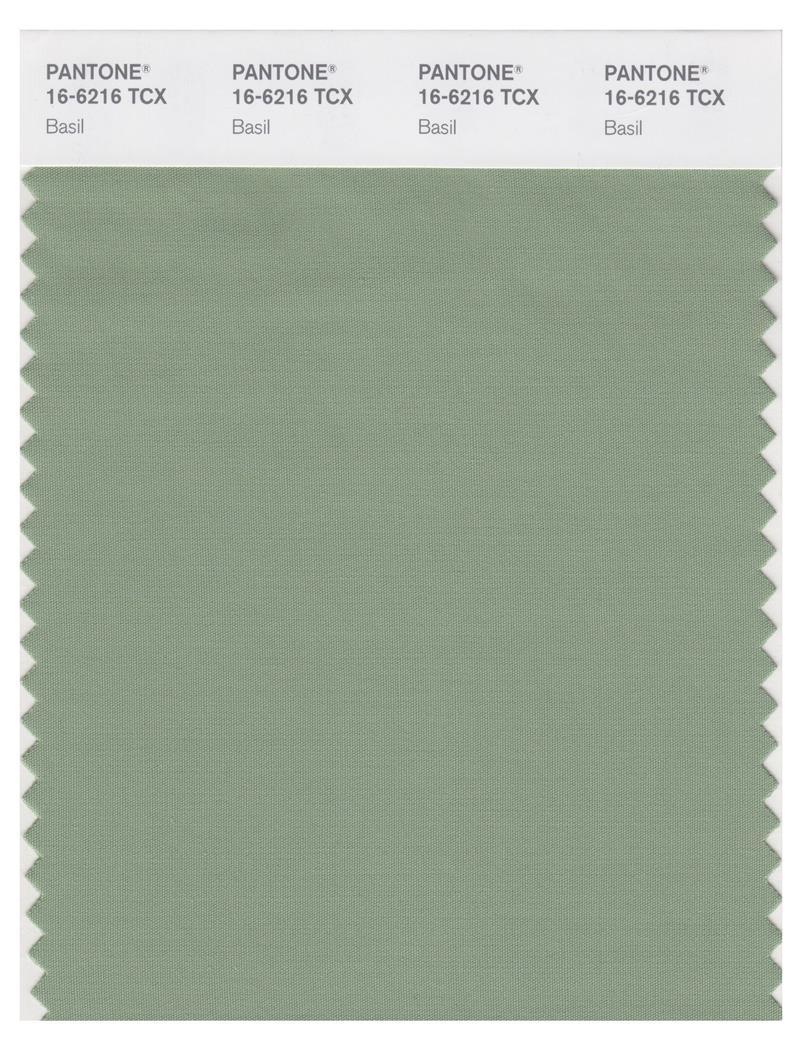 Pantone Smart 16-6216 TCX Color Swatch Card | Basil