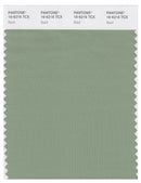 Pantone Smart 16-6216 TCX Color Swatch Card | Basil