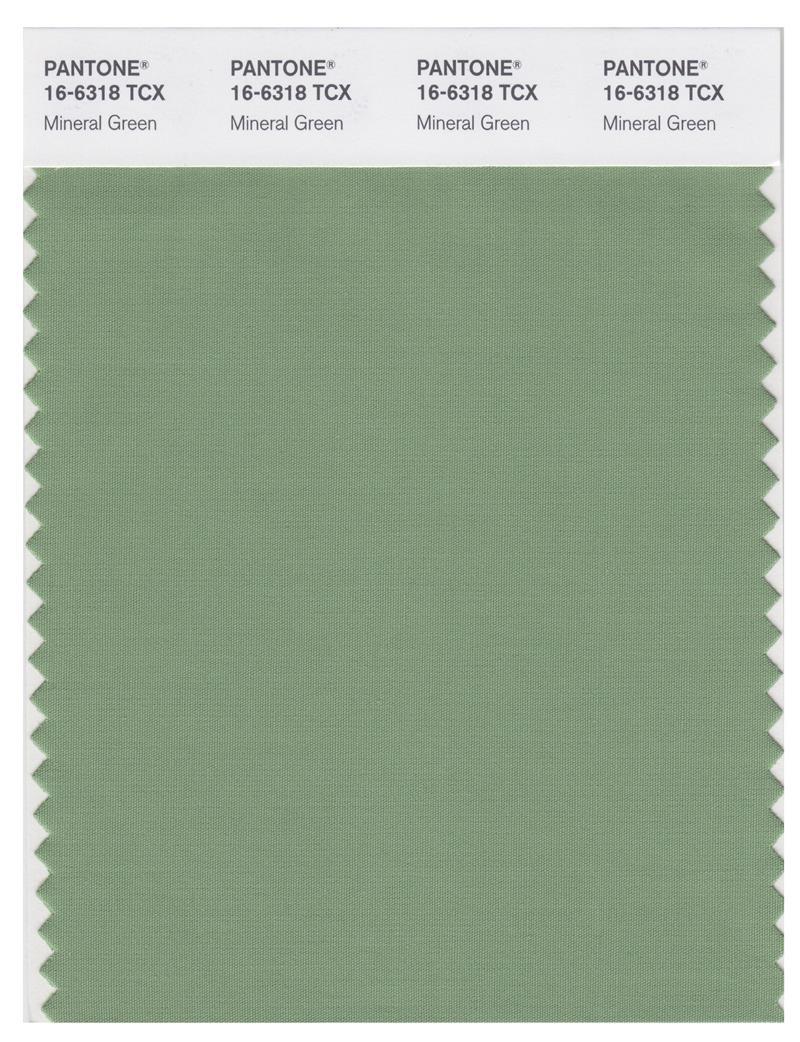 Pantone Smart 16-6318 TCX Color Swatch Card