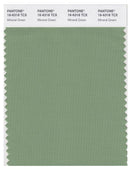 Pantone Smart 16-6318 TCX Color Swatch Card | Mineral Green