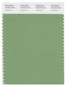 Pantone Smart 16-6324 TCX Color Swatch Card | Jadesheen