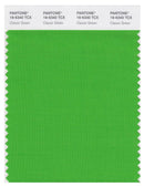 Pantone Smart 16-6340 TCX Color Swatch Card | Classic Green