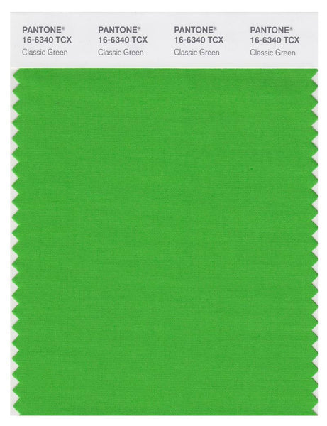 【希少】The PANTONE Book of Color 色見本＆カラーガイド 16-6340_classicgreen_1_grande.