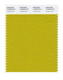 Pantone Smart 16-0840 TCX Color Swatch Card | Antique Moss