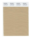 Pantone Smart 16-0920 TCX Color Swatch Card | Curds & Whey