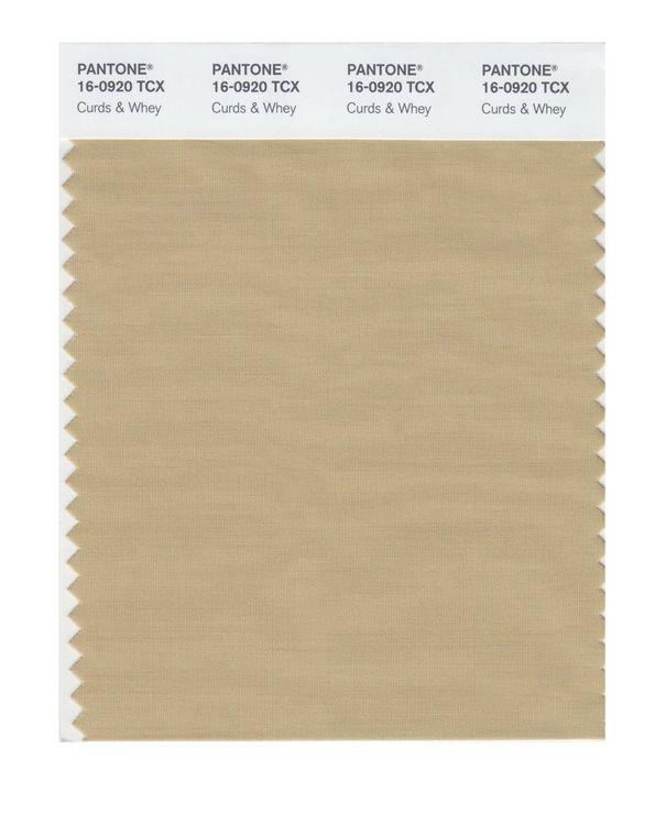 Pantone Smart 16-0920 TCX Color Swatch Card | Curds & Whey
