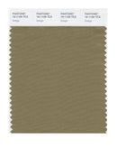 Pantone Smart 16-1109 TCX Color Swatch Card | Greige