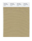 Pantone Smart 16-1120 TCX Color Swatch Card | Starfish