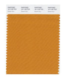 Pantone Smart 16-1149 TCX Color Swatch Card | Desert Sun