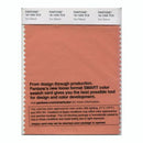 Pantone Smart 16-1345 TCX Color Swatch Card | Sun Baked