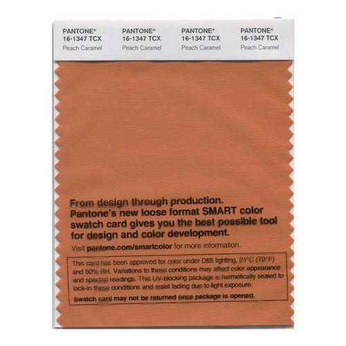Pantone Smart 16-1347 TCX Color Swatch Card | Peach Caramel