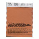 Pantone Smart 16-1348 TCX Color Swatch Card | Tomato Cream