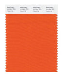 Pantone Smart 16-1363 TCX Color Swatch Card | Puffin's Bill