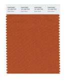 Pantone Smart 16-1449 TCX Color Swatch Card | Gold Flame