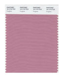 Pantone Smart 16-1710 TCX Color Swatch Card | Foxglove