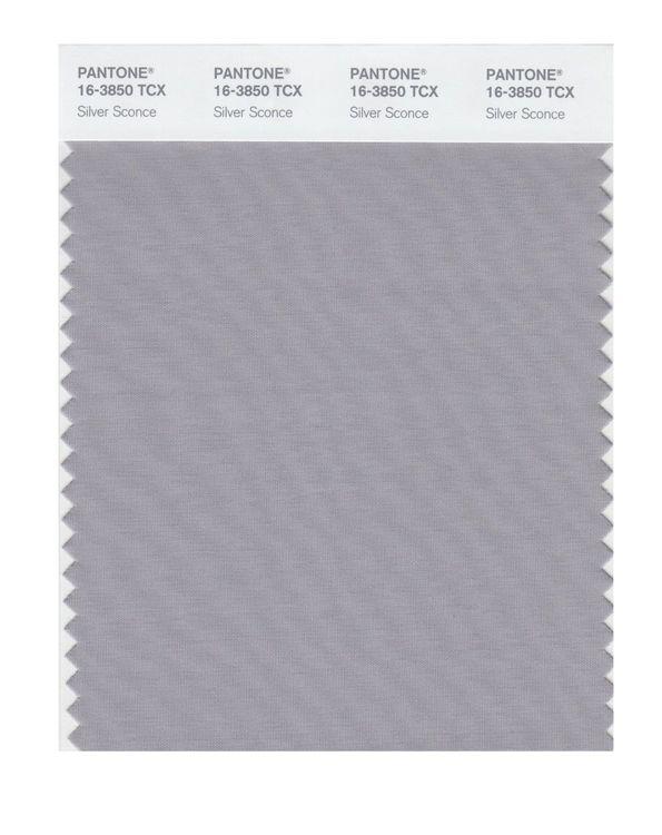 Pantone Smart 16-3850 TCX Color Swatch Card | Silver Sconce