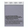 Pantone Smart 16-3905 TCX Color Swatch Card | Lilac Gray