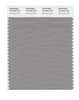 Pantone Smart 16-4400 TCX Color Swatch Card | Mourning Dove