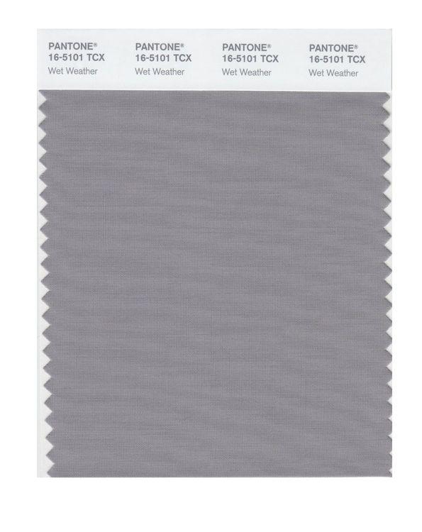 Pantone Smart 16-5101 TCX Color Swatch Card | Wet Weather | Magazine ...