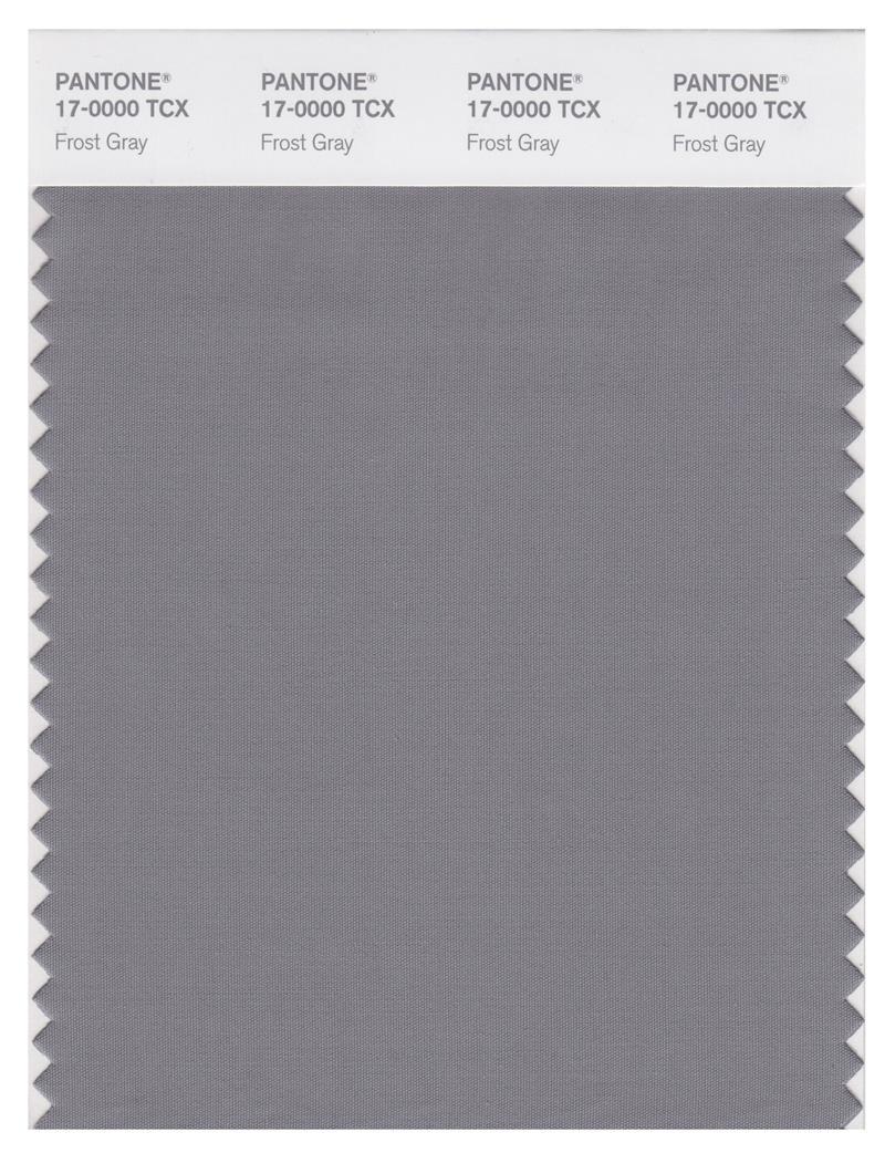 Pantone Smart 17-0000 TCX Color Swatch Card | Frost Gray
