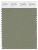 Pantone Smart 17-0115 TCX Color Swatch Card | Oil Green
