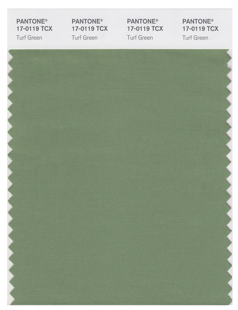 Pantone Smart 17-0119 TCX Color Swatch Card | Turf Green