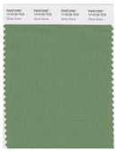 Pantone Smart 17-0123 TCX Color Swatch Card | Stone Green