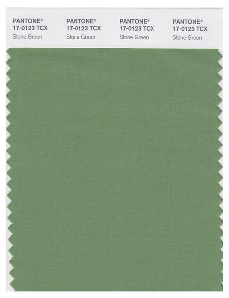 Pantone Smart 17-0123 TCX Color Swatch Card | Stone Green