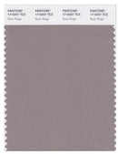 Pantone Smart 17-0207 TCX Color Swatch Card | Rock Ridge