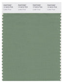 Pantone Smart 17-0210 TCX Color Swatch Card | London Frost