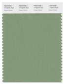 Pantone Smart 17-0215 TCX Color Swatch Card | Aspen Green